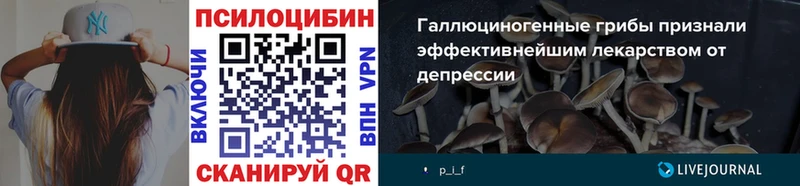 Псилоцибиновые грибы мухоморы Удомля